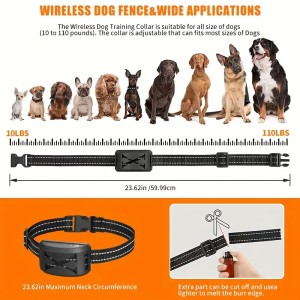 2-in-1 Wireless Dog Fence & Training System